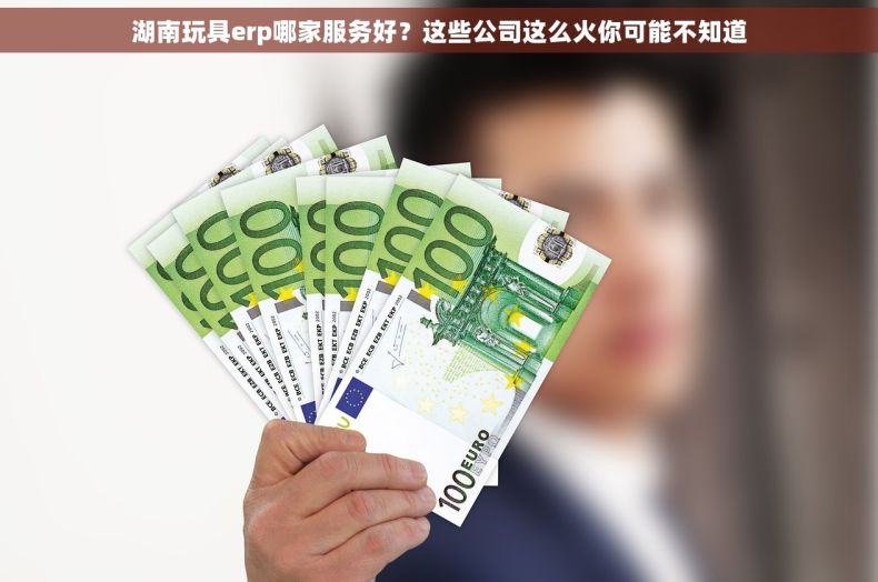 湖南玩具erp哪家服务好?这些公司这么火你可能不知道 湖南玩具erp哪家服务好?这些公司这么火你可能不知道