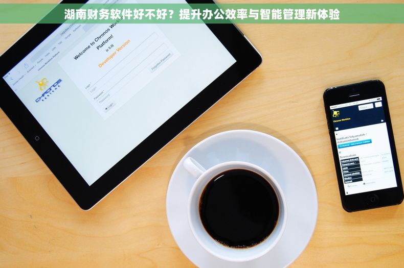 湖南财务软件好不好?提升办公效率与智能管理新体验 湖南财务软件好不好?提升办公效率与智能管理新体验