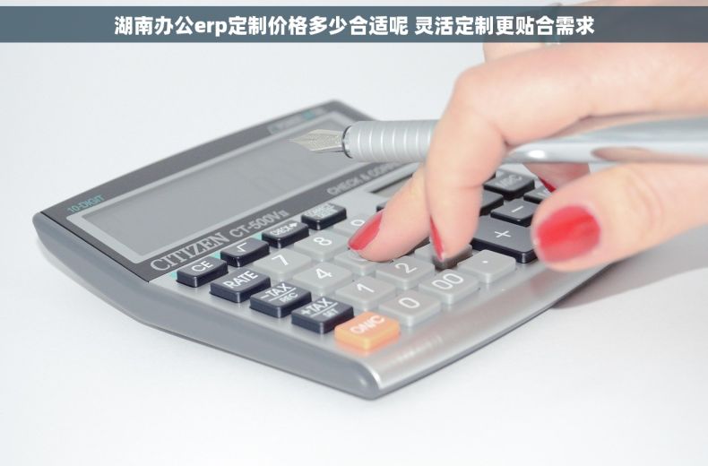 湖南办公erp定制价格多少合适呢 灵活定制更贴合需求 湖南办公erp定制价格多少合适呢 灵活定制更贴合需求