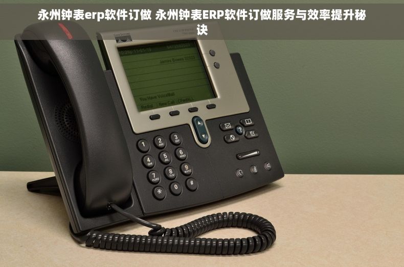 永州钟表erp软件订做 永州钟表ERP软件订做服务与效率提升秘诀 永州钟表erp软件订做 永州钟表ERP软件订做服务与效率提升秘诀