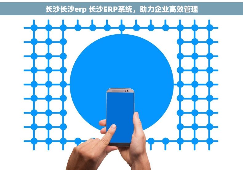 长沙长沙erp 长沙ERP系统，助力企业高效管理
