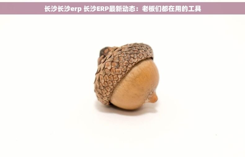 长沙长沙erp 长沙ERP最新动态:老板们都在用的工具 长沙长沙erp 长沙ERP最新动态:老板们都在用的工具