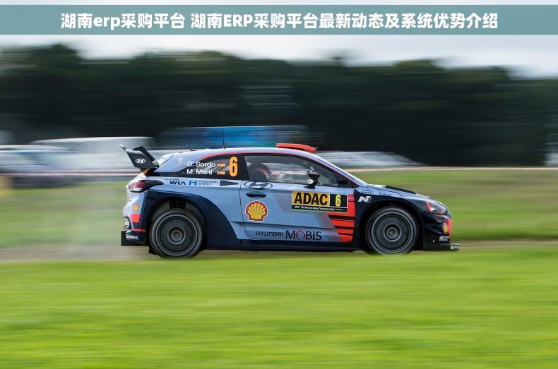 湖南erp采购平台 湖南ERP采购平台最新动态及系统优势介绍