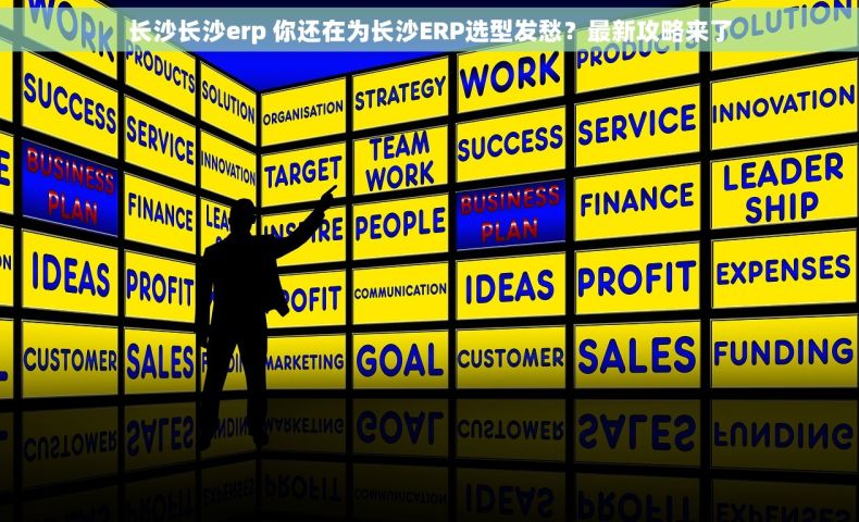 长沙长沙erp 你还在为长沙ERP选型发愁?最新攻略来了 长沙长沙erp 你还在为长沙ERP选型发愁?最新攻略来了