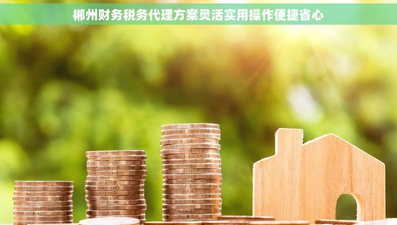 郴州财务税务代理方案灵活实用操作便捷省心 郴州财务税务代理方案灵活实用操作便捷省心