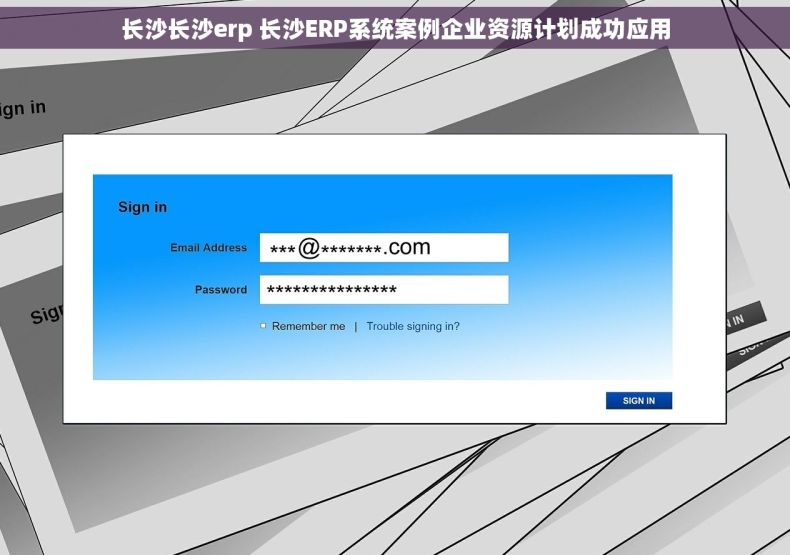 长沙长沙erp 长沙ERP系统案例企业资源计划成功应用