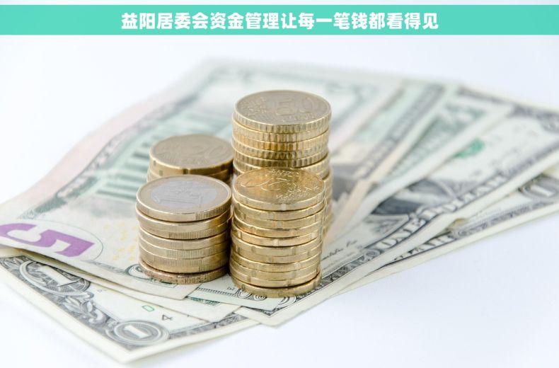 益阳居委会资金管理让每一笔钱都看得见 益阳居委会资金管理让每一笔钱都看得见