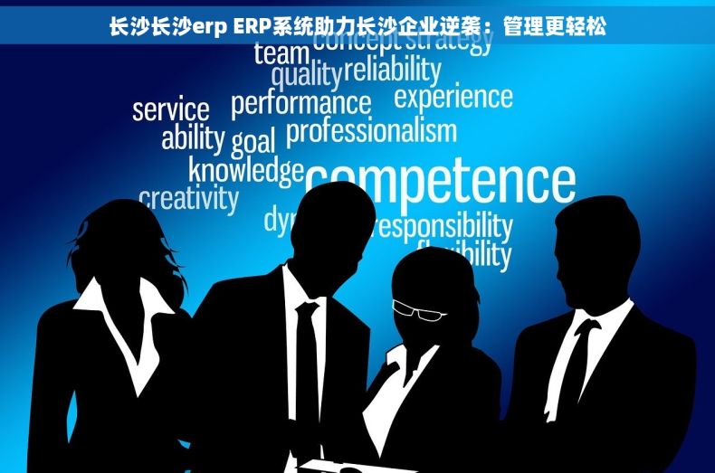 长沙长沙erp ERP系统助力长沙企业逆袭:管理更轻松 长沙长沙erp ERP系统助力长沙企业逆袭:管理更轻松