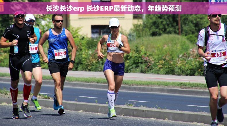 长沙长沙erp 长沙ERP最新动态,年趋势预测 长沙长沙erp 长沙ERP最新动态,年趋势预测