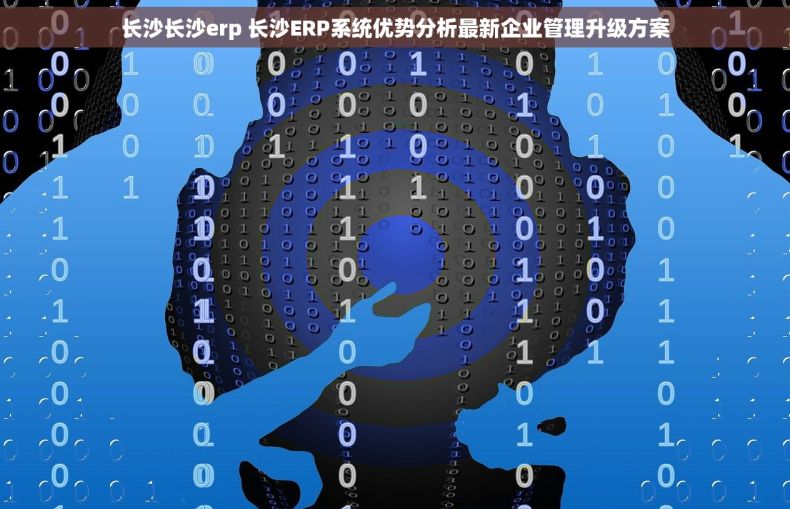 长沙长沙erp 长沙ERP系统优势分析最新企业管理升级方案
