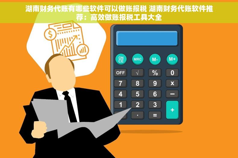 湖南财务代账有哪些软件可以做账报税 湖南财务代账软件推荐:高效做账报税工具大全 湖南财务代账有哪些软件可以做账报税 湖南财务代账软件推荐:高效做账报税工具大全