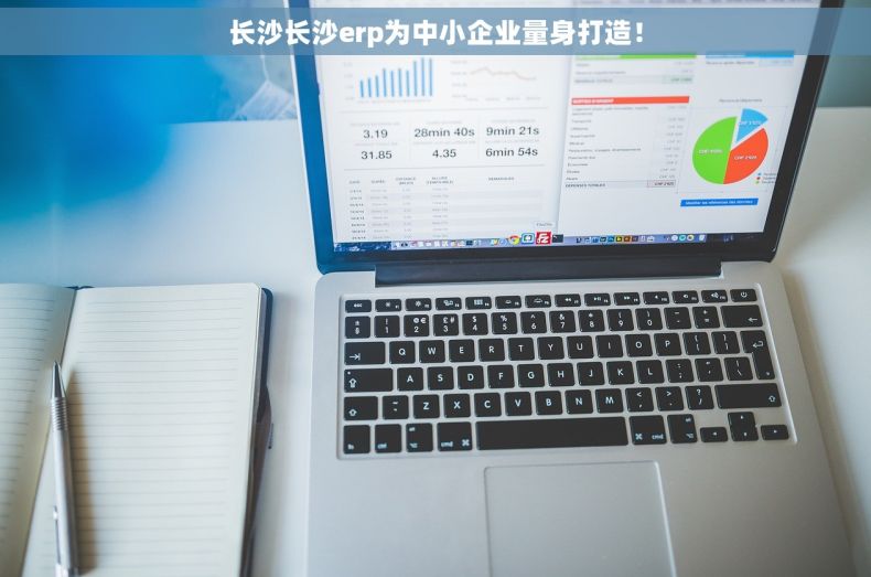 长沙长沙erp为中小企业量身打造! 长沙长沙erp为中小企业量身打造!