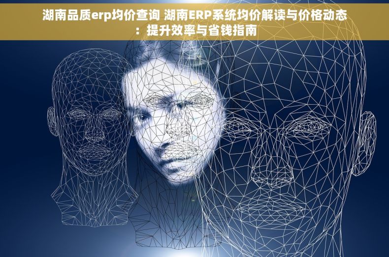 湖南品质erp均价查询 湖南ERP系统均价解读与价格动态：提升效率与省钱指南