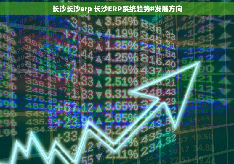 长沙长沙erp 长沙ERP系统趋势#发展方向