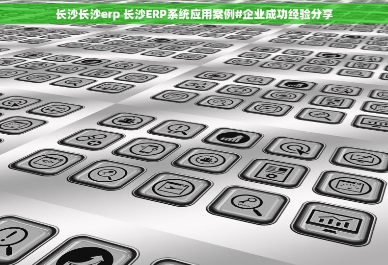 长沙长沙erp 长沙ERP系统应用案例#企业成功经验分享