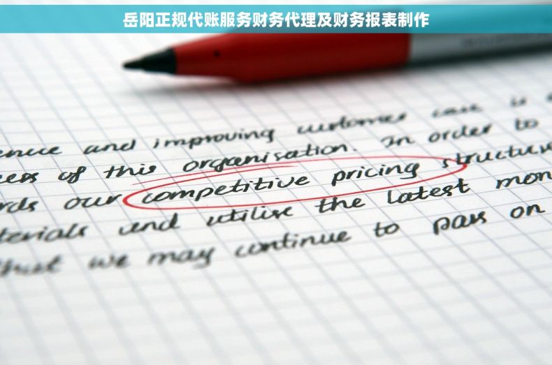 岳阳正规代账服务财务代理及财务报表制作 岳阳正规代账服务财务代理及财务报表制作