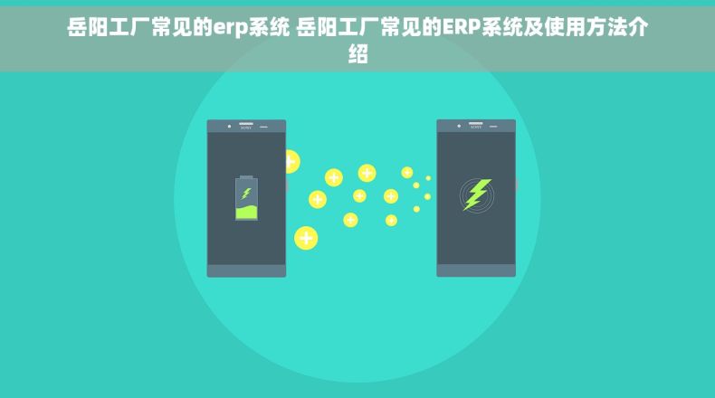岳阳工厂常见的erp系统 岳阳工厂常见的ERP系统及使用方法介绍 岳阳工厂常见的erp系统 岳阳工厂常见的ERP系统及使用方法介绍