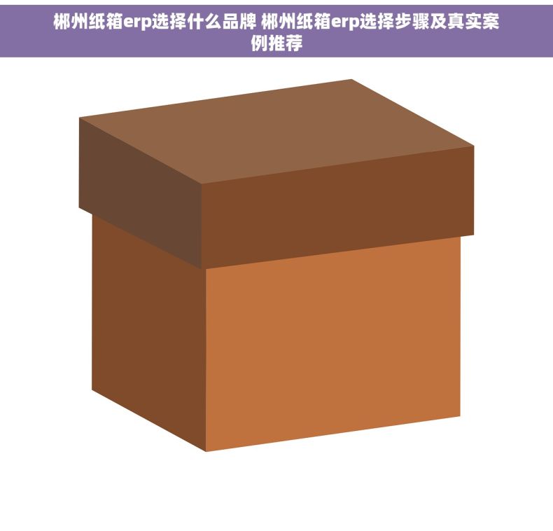 郴州纸箱erp选择什么品牌 郴州纸箱erp选择步骤及真实案例推荐