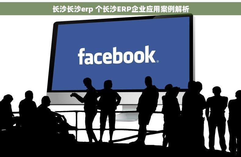 长沙长沙erp 个长沙ERP企业应用案例解析