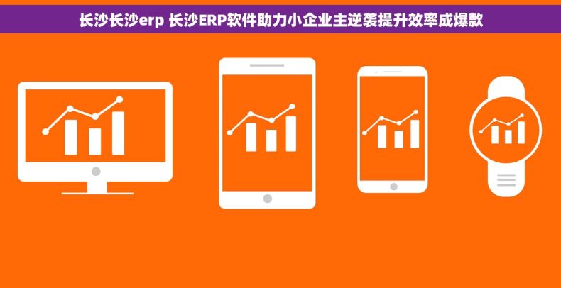 长沙长沙erp 长沙ERP软件助力小企业主逆袭提升效率成爆款 长沙长沙erp 长沙ERP软件助力小企业主逆袭提升效率成爆款