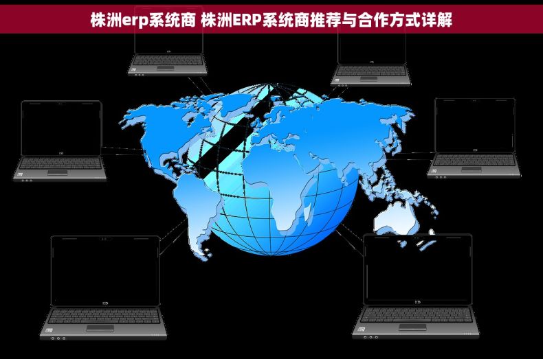 株洲erp系统商 株洲ERP系统商推荐与合作方式详解