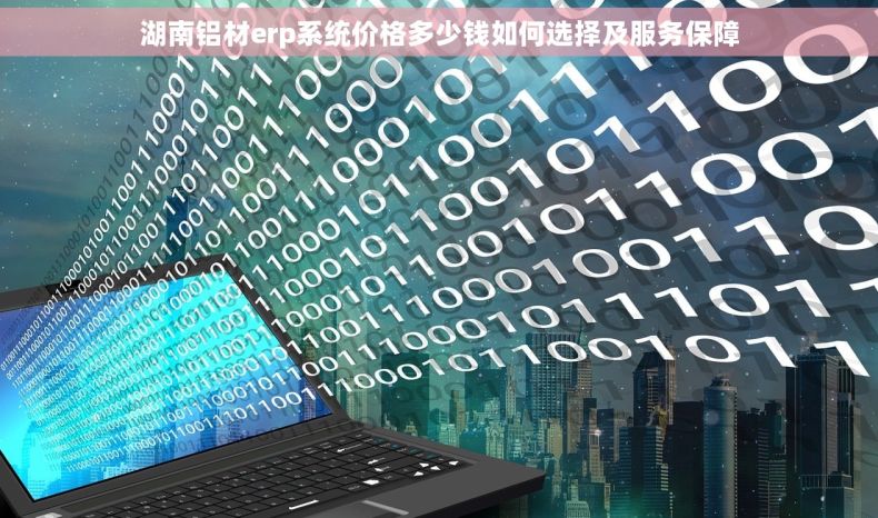 湖南铝材erp系统价格多少钱如何选择及服务保障