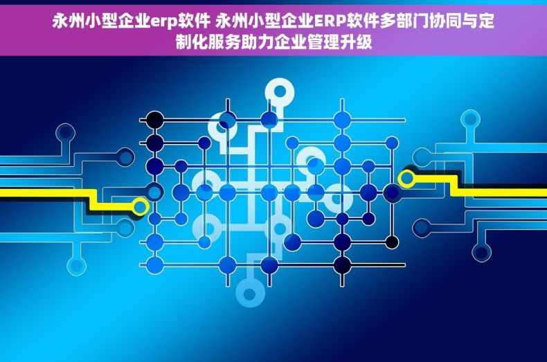 永州小型企业erp软件 永州小型企业ERP软件多部门协同与定制化服务助力企业管理升级
