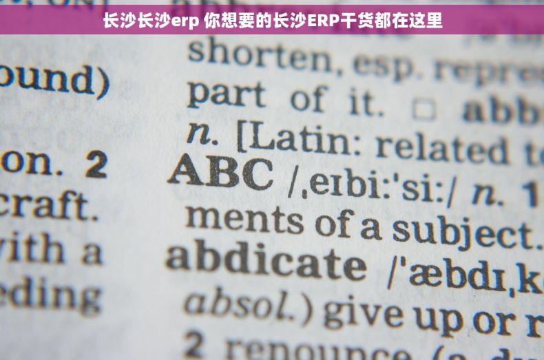 长沙长沙erp 你想要的长沙ERP干货都在这里 长沙长沙erp 你想要的长沙ERP干货都在这里