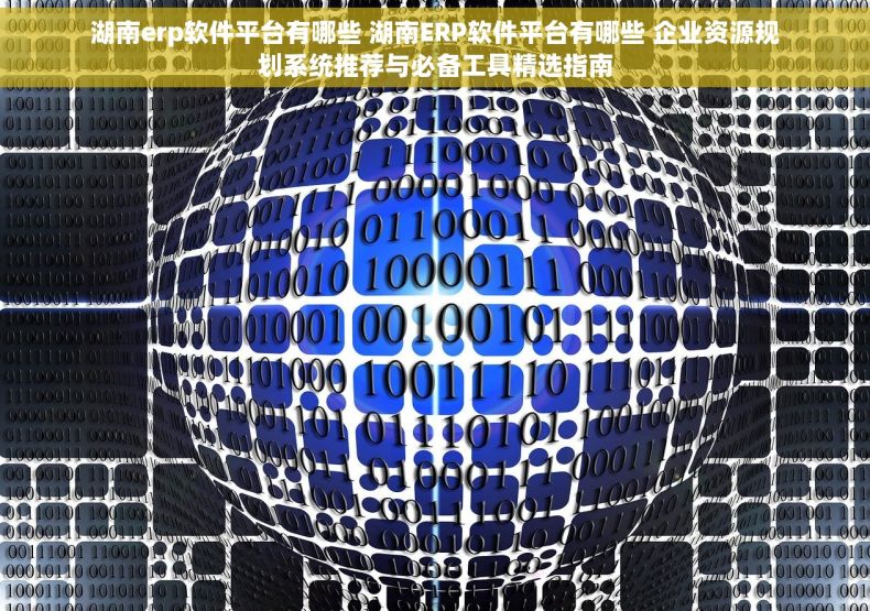 湖南erp软件平台有哪些 湖南ERP软件平台有哪些 企业资源规划系统推荐与必备工具精选指南