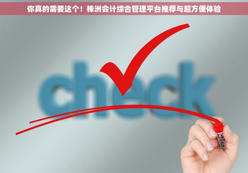 你真的需要这个！株洲会计综合管理平台推荐与超方便体验