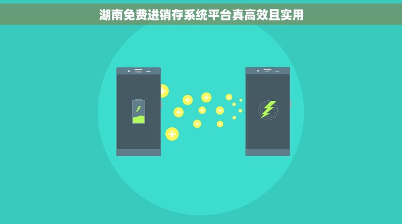 湖南免费进销存系统平台真高效且实用