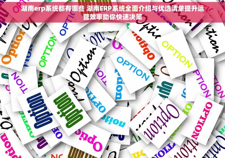 湖南erp系统都有哪些 湖南ERP系统全面介绍与优选清单提升运营效率助你快速决策 湖南erp系统都有哪些 湖南ERP系统全面介绍与优选清单提升运营效率助你快速决策