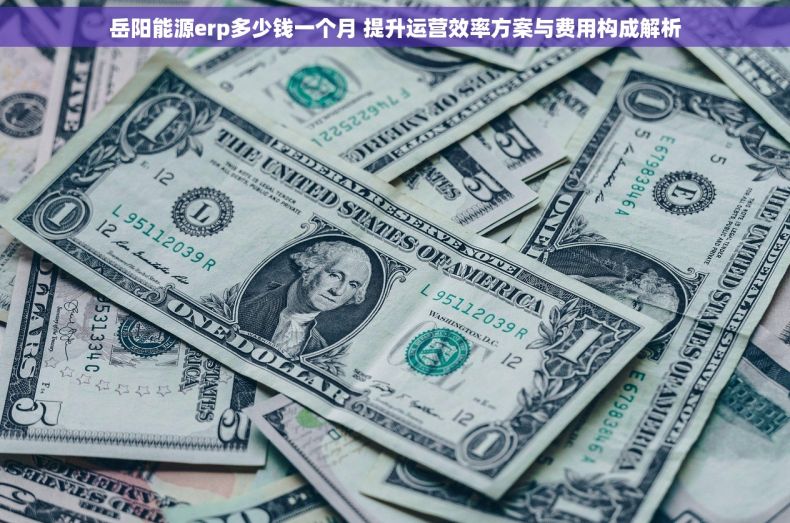 岳阳能源erp多少钱一个月 提升运营效率方案与费用构成解析 岳阳能源erp多少钱一个月 提升运营效率方案与费用构成解析