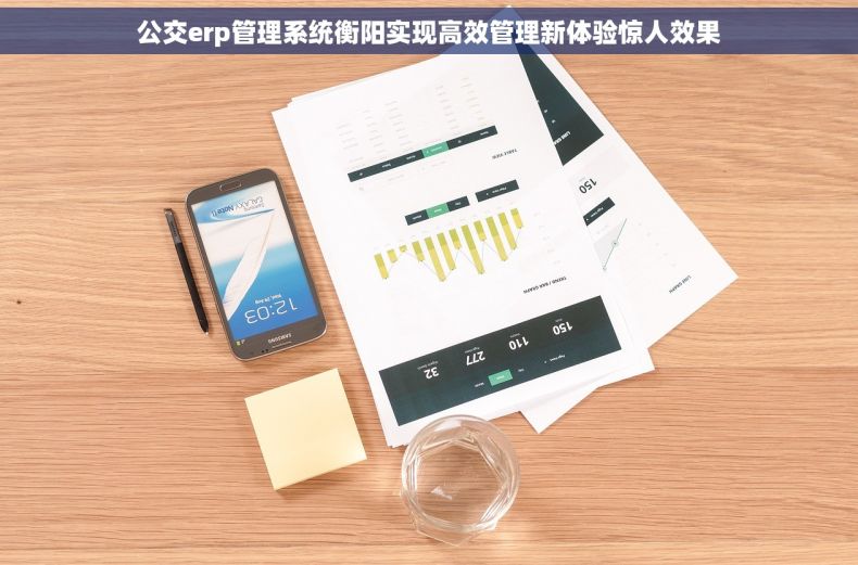 公交erp管理系统衡阳实现高效管理新体验惊人效果