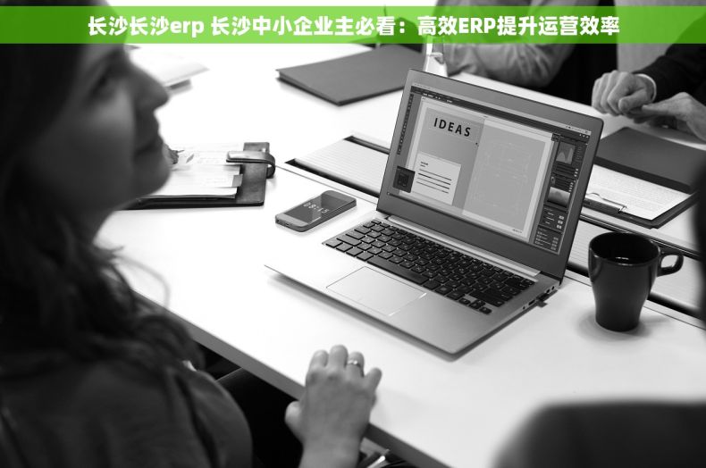 长沙长沙erp 长沙中小企业主必看：高效ERP提升运营效率