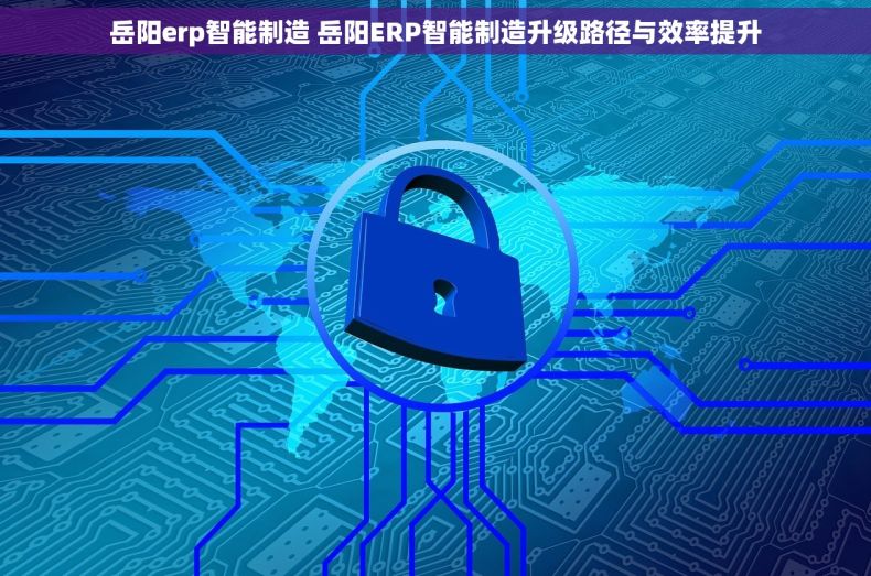 岳阳erp智能制造 岳阳ERP智能制造升级路径与效率提升