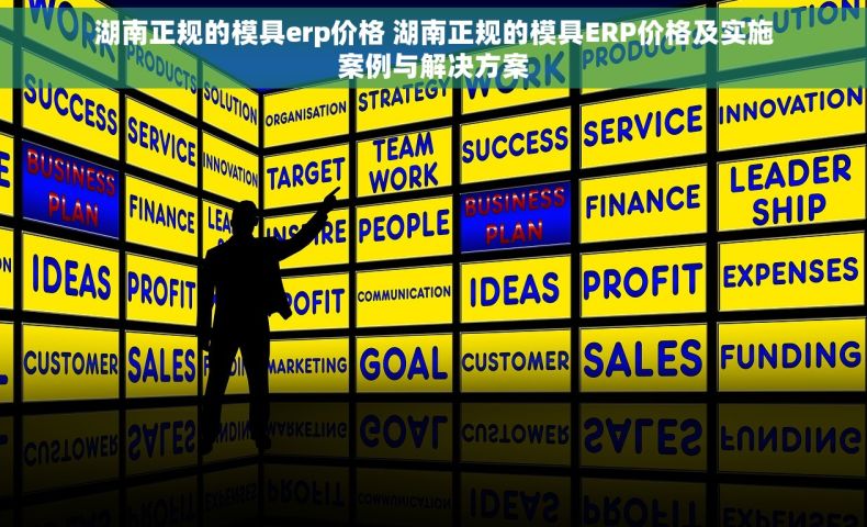 湖南正规的模具erp价格 湖南正规的模具ERP价格及实施案例与解决方案 湖南正规的模具erp价格 湖南正规的模具ERP价格及实施案例与解决方案