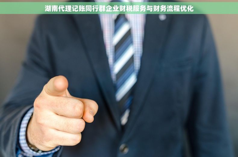 湖南代理记账同行群企业财税服务与财务流程优化