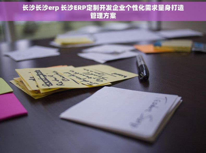 长沙长沙erp 长沙ERP定制开发企业个性化需求量身打造管理方案 长沙长沙erp 长沙ERP定制开发企业个性化需求量身打造管理方案