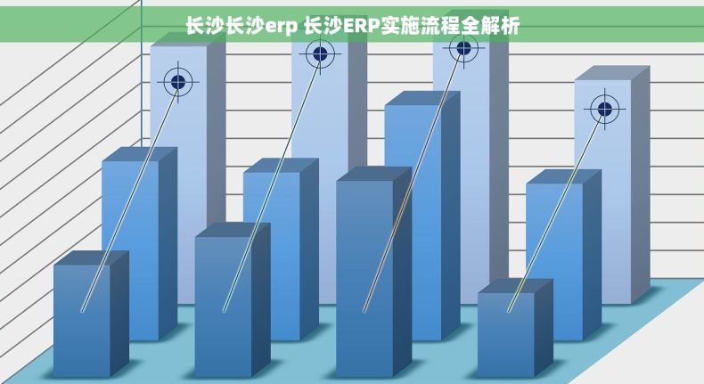 长沙长沙erp 长沙ERP实施流程全解析 长沙长沙erp 长沙ERP实施流程全解析