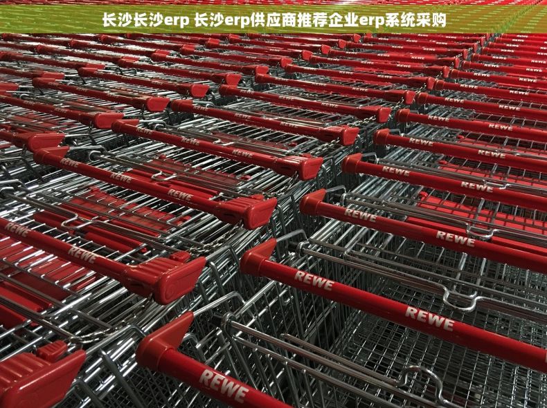 长沙长沙erp 长沙erp供应商推荐企业erp系统采购