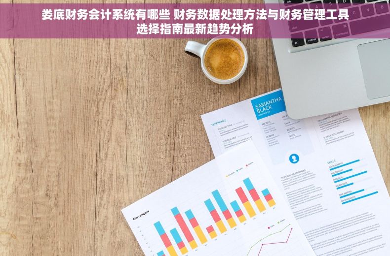 娄底财务会计系统有哪些 财务数据处理方法与财务管理工具选择指南最新趋势分析