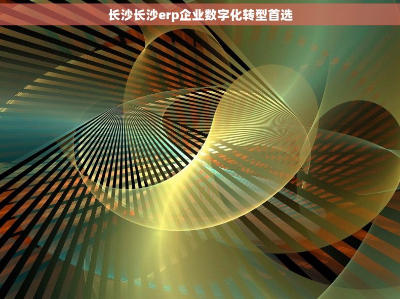 长沙长沙erp企业数字化转型首选 长沙长沙erp企业数字化转型首选