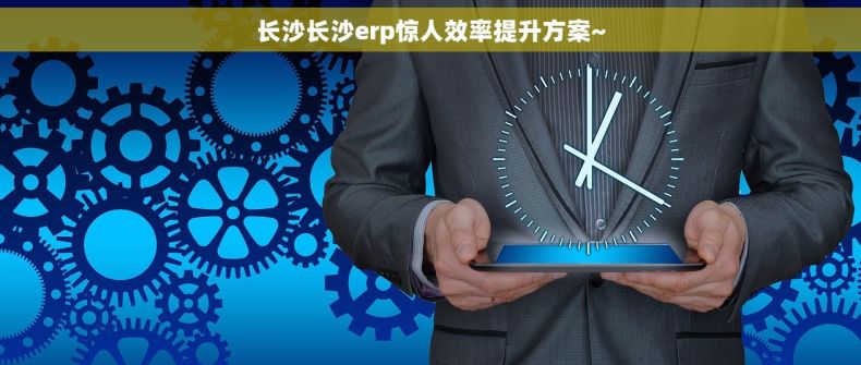 长沙长沙erp惊人效率提升方案~