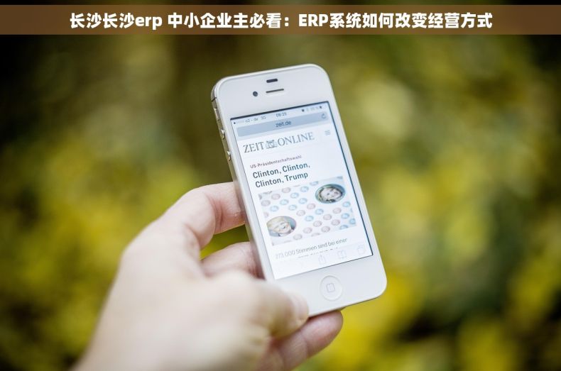 长沙长沙erp 中小企业主必看:ERP系统如何改变经营方式 长沙长沙erp 中小企业主必看:ERP系统如何改变经营方式