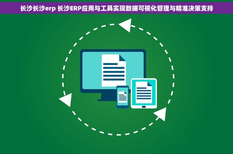 长沙长沙erp 长沙ERP应用与工具实现数据可视化管理与精准决策支持