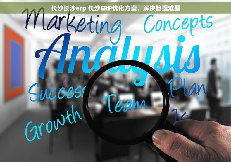 长沙长沙erp 长沙ERP优化方案，解决管理难题