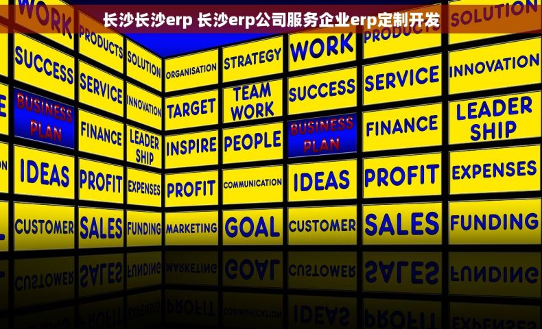 长沙长沙erp 长沙erp公司服务企业erp定制开发