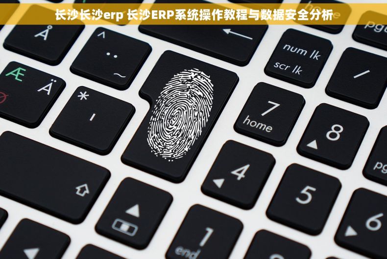 长沙长沙erp 长沙ERP系统操作教程与数据安全分析