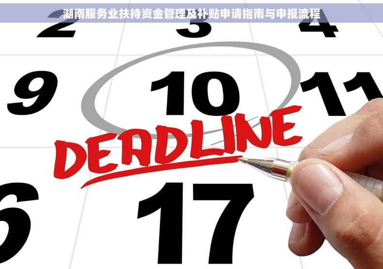 湖南服务业扶持资金管理及补贴申请指南与申报流程